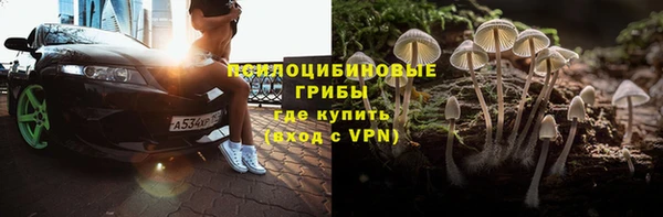 крисы Лабытнанги
