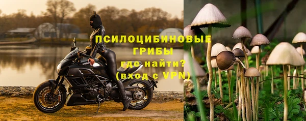 эйфоретик Ладушкин